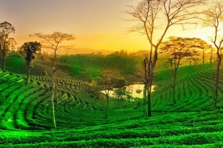 assam