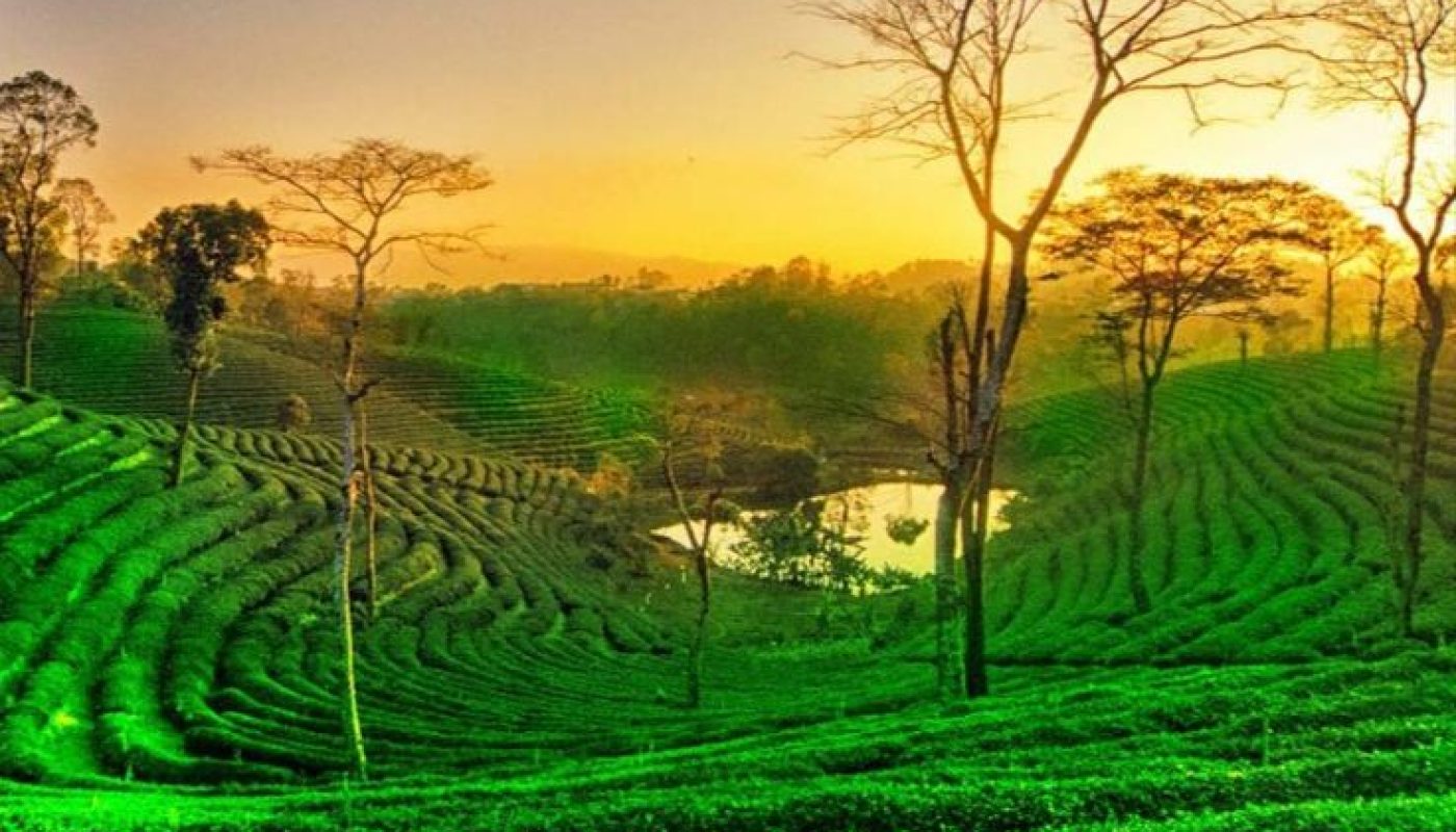 assam