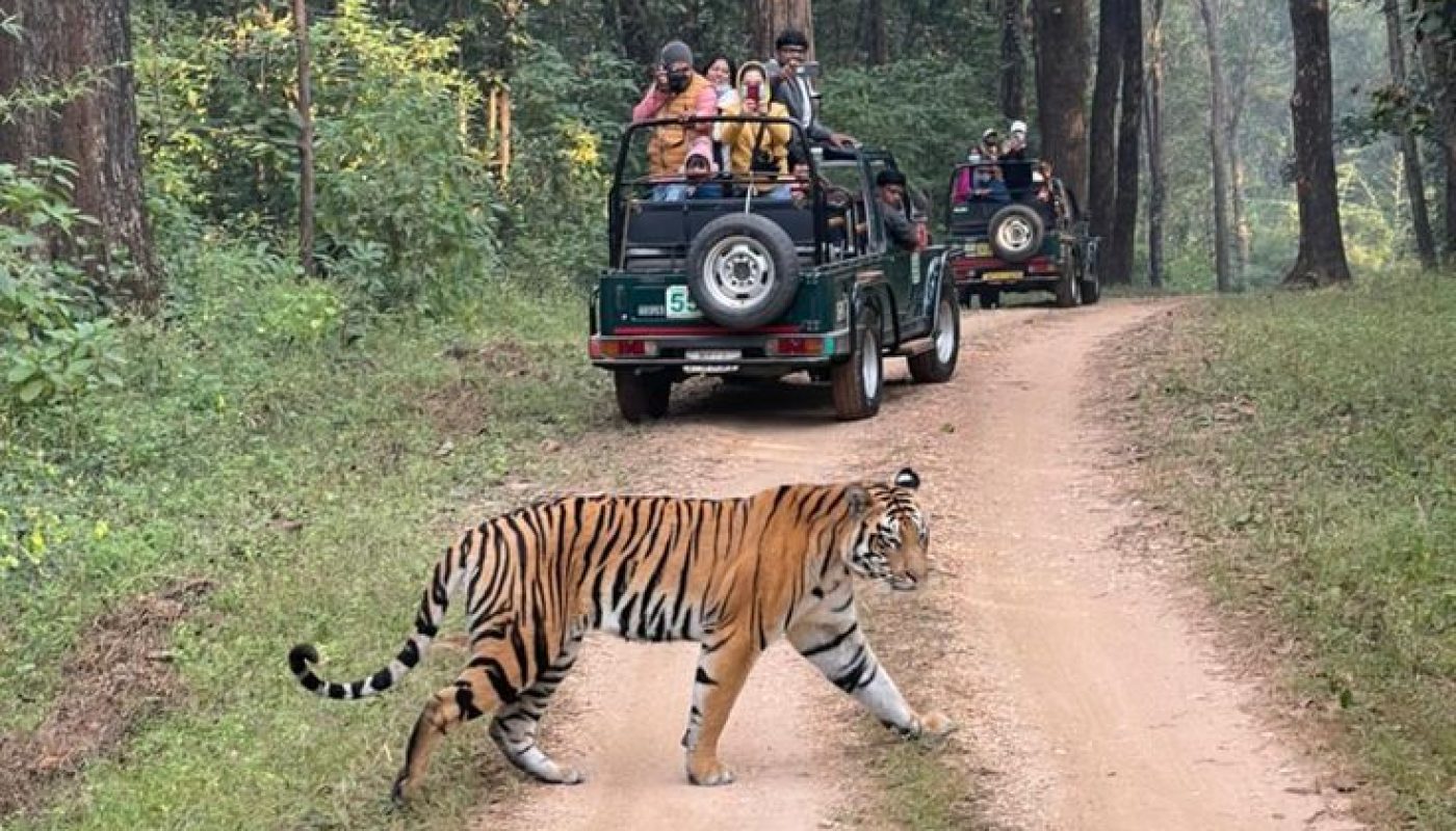 kanha1