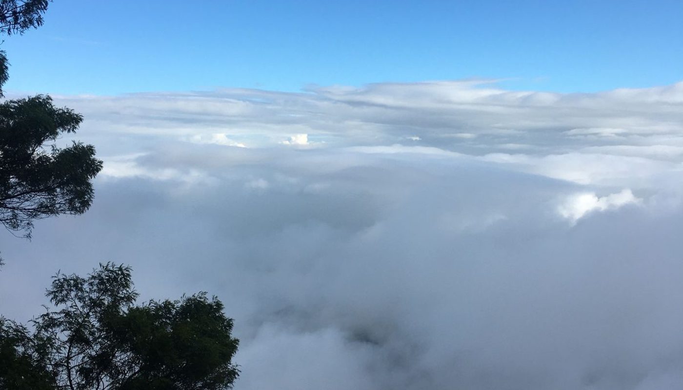 kodai