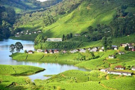 munnar-kerala-1