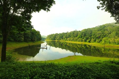 thekkady